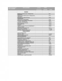 INFORME DE COSTOS. Página 11