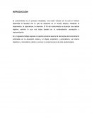 EMPIRISMO/RACIONALISMO