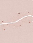 Ley de protección de datos personales