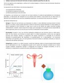 SISTEMA DE CLASIFICACION DE MATERIA Y REACTIVOS EN LOS LABORATORIOS DE FARMACOQUIMICA/FARMACOTECNIA