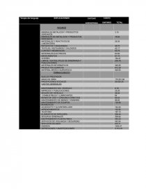 INFORME DE COSTOS. Página 9