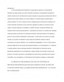 La producción de insectos