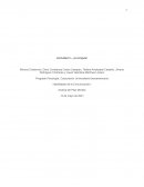 ¿Por qué las ovejas nos ayudan a dormir?