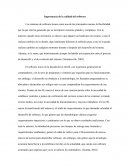 Importancia de la calidad del software