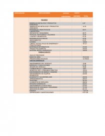 INFORME DE COSTOS. Página 16