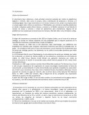 ¿Qué es el e-commerce?