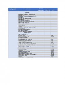 INFORME DE COSTOS. Página 12