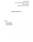 Didáctica del Nivel Superior