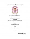 Resumen - Nueva segmentación de mercado