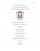 Resumen Ejecutivo de la Empresa Texa`s S.A.C