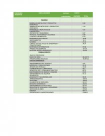 INFORME DE COSTOS. Página 13