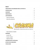 Presupuesto de inversión para un proyecto