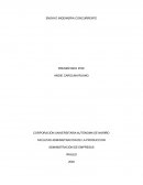 ENSAYO INGENIERIA CONCURRENTE