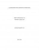 LA TRANSFORMACIÓN DE GREGORIO DE FRANK KAFKA