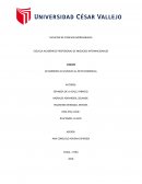 DE BARRERA CULTURAL AL ÉXITO COMERCIAL