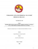 MEDIDAS PREVENTIVAS PARA EVITAR LA PROPAGACIÓN DE LA COVID-19 EN LA COMUNIDAD EL GIRASOL DURANTE EL AÑO 2020