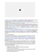 Glandula tiroides Fisiologia