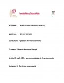 La PyME y sus necesidades de financiamiento