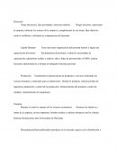 Importancia de las áreas funcionales de la empresa