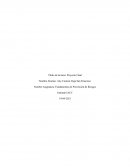 Fundamentos de Prevención de Riesgos