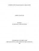 Informe escrito de implementacion de un RED