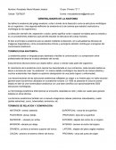 GENERALIDADES DE LA ANATOMIA