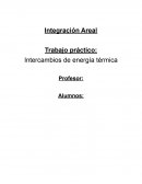 Trabajo práctico: Intercambios de energía térmica