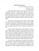 Importancia del amparo