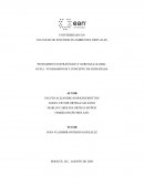 FUNDAMENTOS Y CONCEPTO DE ESTRATEGIA