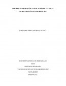 INFORME ELABORACIÓN Y APLICACIÓN DE TÉCNICAS DE RECOLECCIÓN DE INFORMACIÓN