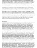 Las escuelas, resumen