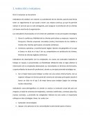 Análisis BSC e Indicadores