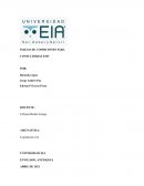 PLIEGO DE CONDICIONES PARA CONSULTORIAS EMV