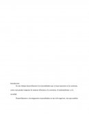 Trabajo externalidades desarrollo economico