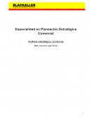 Planeación Estrategica Blackaller Sistemas de Almacenaje