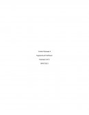 Control 4 Ingeniería de Software IACC