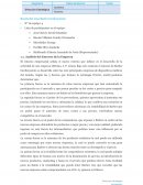 Resolución Caso Barber Cardiosystems