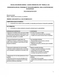 CRONODOSIFICACIÓN DEL PROGRAMA DE “EDUCACIÓN AMBIENTAL PARA LA SUSTENTABILIDAD EN ZACATECAS”. Página 1