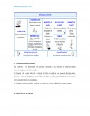 Model canvas de un PyS