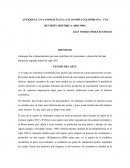 ANTIOQUIA, UNA ANOMALÍA EN LA ECONOMÍA COLOMBIANA: UNA REVISIÓN HISTÓRICA (1850-1900)