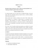 PERITAJE MÉDICO LEGAL