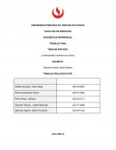 La Morosidad Crediticia en el Perú