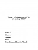 Ensayo Película La Educación Prohibida
