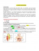 APARATO RESPIRATORIO
