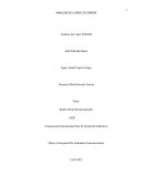 ANALISIS DEL VIDEO DE ENRON