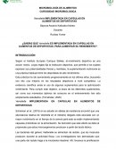 Curiosidad microbiologica