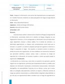 Gestion de Riesgos de SI - Gestion de Riesgos Integrales HN