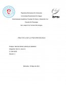 PRACTICA DE LA PSICOPATOLOGIA