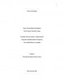 Proceso Six Sigma RINCOTRANS Transporte Especial S.A.S