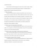 LA BIOTECNOLOGÍA